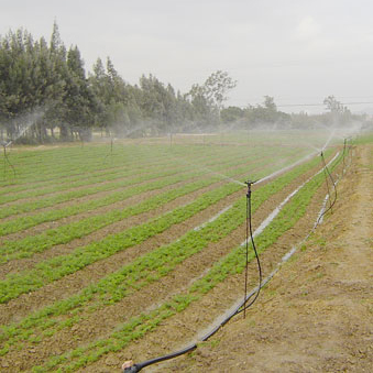 灌溉案例展示